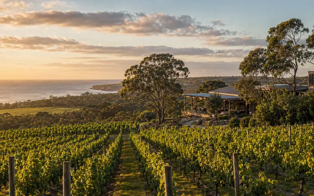 Margaret River coastal vineyard with ocean beyond