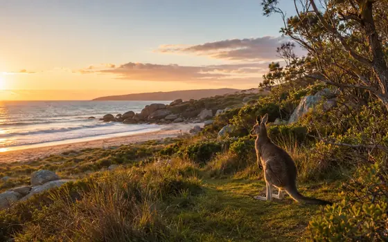 Australian wildlife and nature encounter