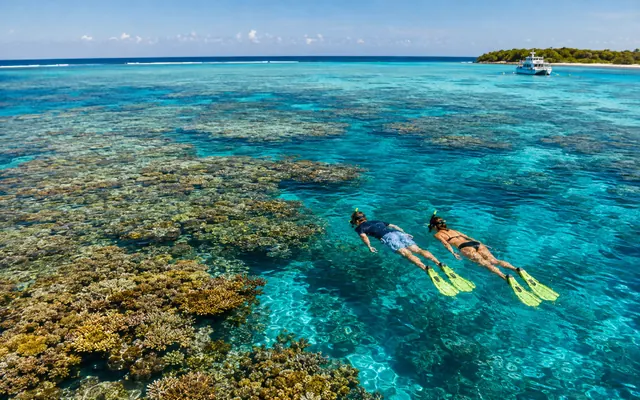 Snorkelers over coral formations on the Great Barrier Reef