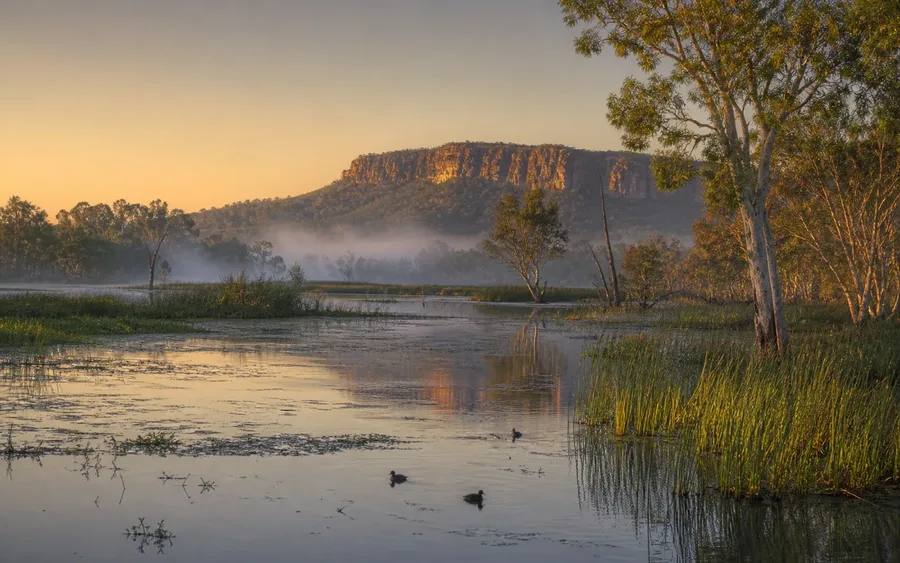 Kakadu wetlands at sunrise beneath a sandstone escarpment